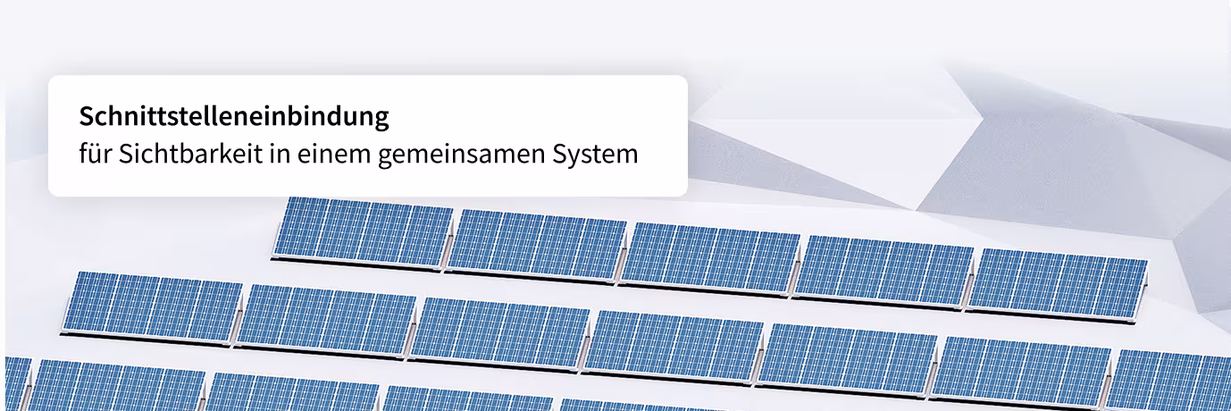 Project Solutions: Nahtlose Integration