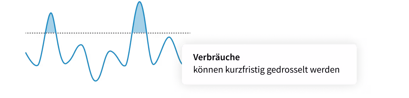 Project Solutions: Automatisches Spitzenlastmanagement