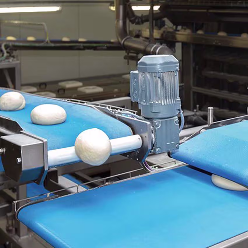 Industrial production line with dough pieces on blue conveyor belts in a bakery
