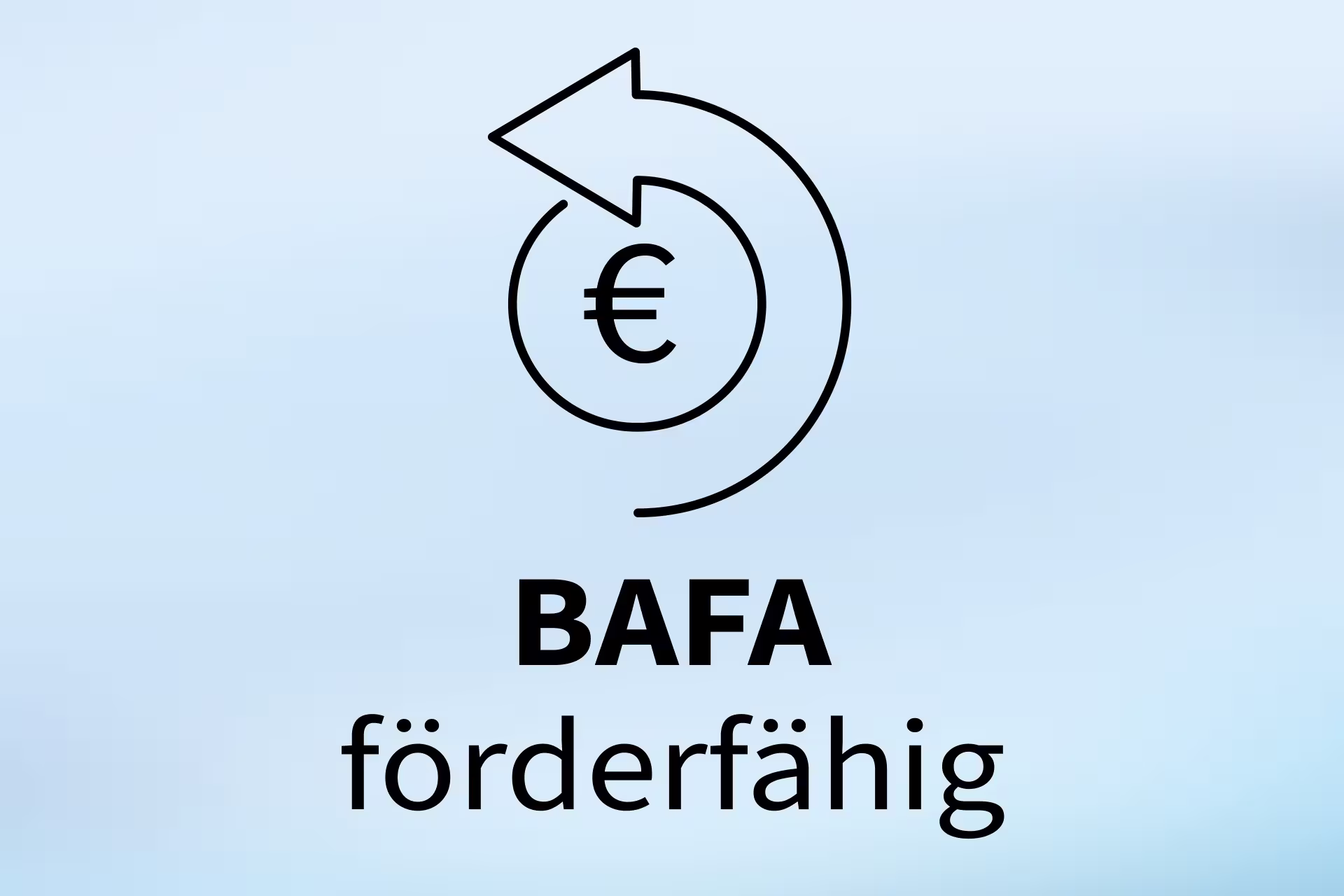 SEO BAFA Foerderung